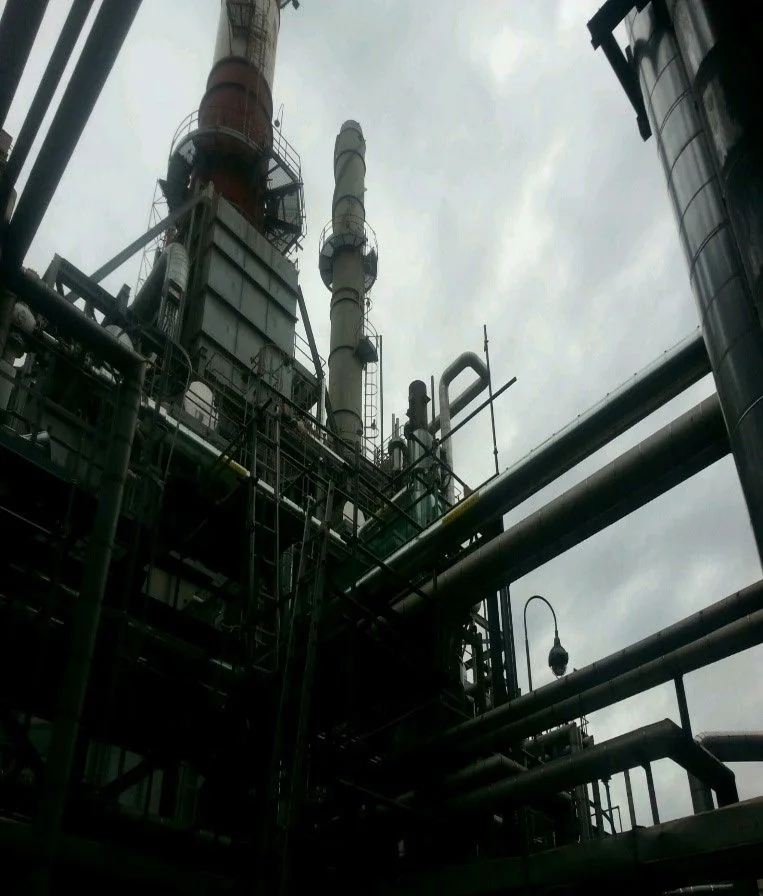 After: no vent plume over the plant
